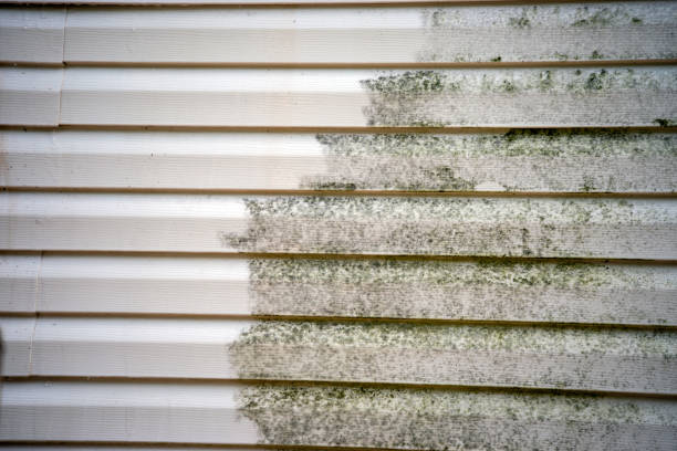 Best Historical Building Siding Restoration  in Hayden, AL