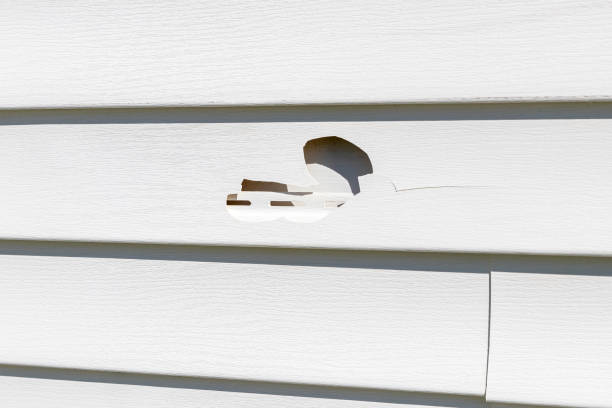 Best Custom Siding Design  in Hayden, AL