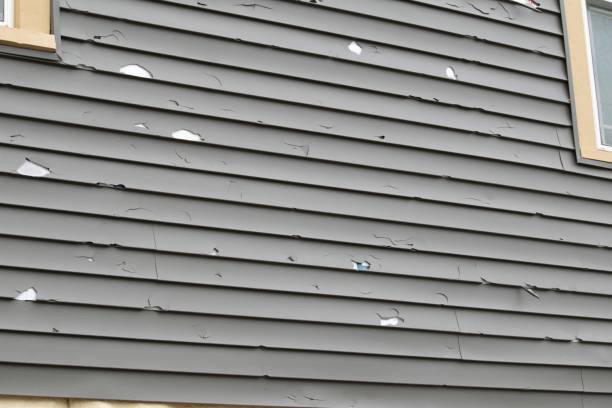 Best Steel Siding Installation  in Hayden, AL